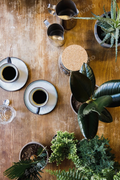 Preview: Two cups of black coffee on table with plants in coffee shop
