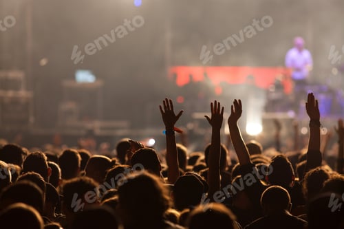 Preview: crowd at concert - summer music festival