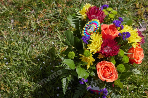 Preview: Beautiful colorful flowers with leaves at the Garden