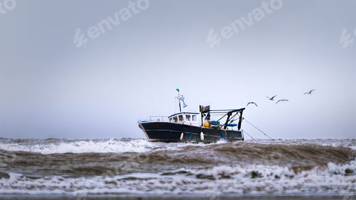 Preview: Boat traveling across the sea with birds flying in the sky