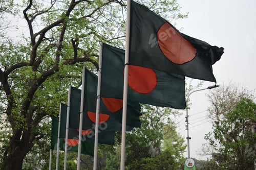 Preview: Beautiful waving flag of Bangladesh