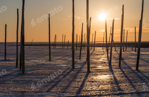 Preview: An iced in marina at the Jersey shore.