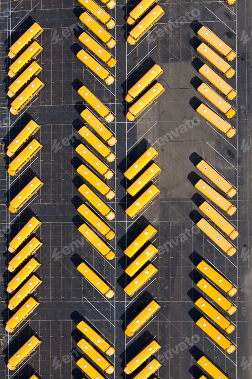 Preview: Parked School Buses In A Parking Lot