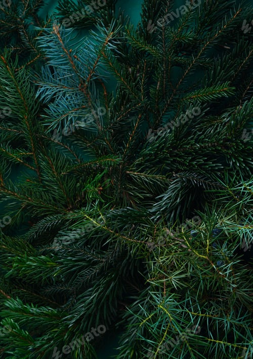 Preview: Christmas tree green background.