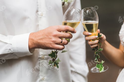 Preview: Couple Toasting Champagne at Wedding Celebration
