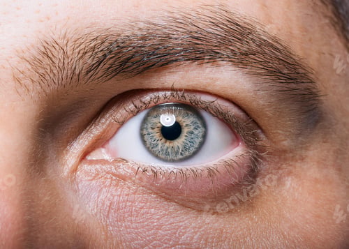 Preview: Closeup of a human eye
