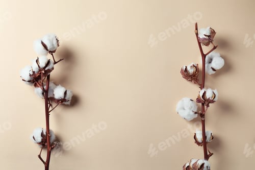 Preview: Cotton plant branches on beige background, space for text