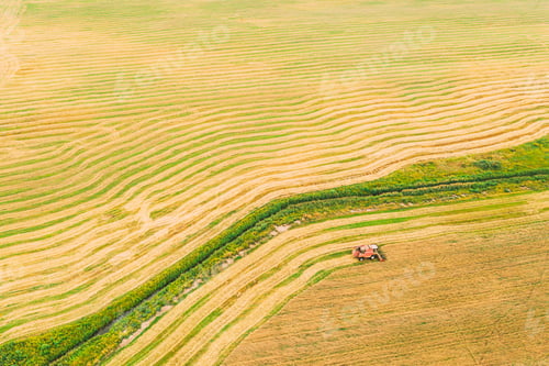 Preview: Aerial View Of Rural Landscape. Combine Harvester Working In Field, Collects Seeds. Harvesting Of