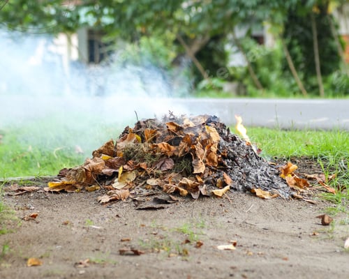 Preview: burning dry leaf litter