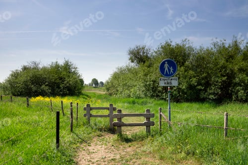 Preview: Footpath to the river