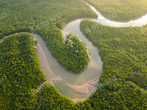 Preview: Aerial top down view of Phang Nga bay, Thailand mangrove forest background texture