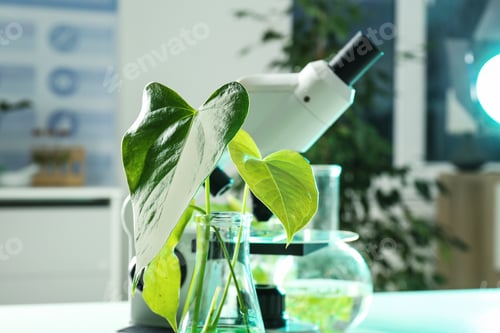 Preview: Flask with green plant against microscope in laboratory