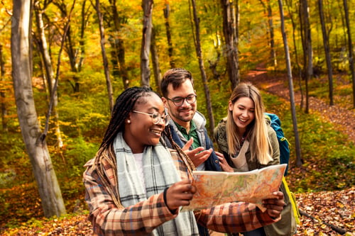 Preview: Three friends having fun and enjoying hiking in forest using map for direction.
