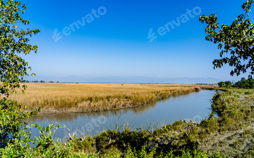 Preview: Landscape view of river in Koshi