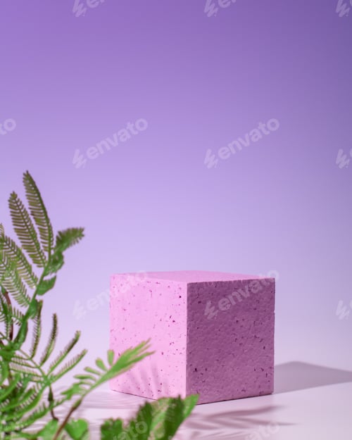 Preview: Empty podium or stand for product showcase, plant and shadow on violet background