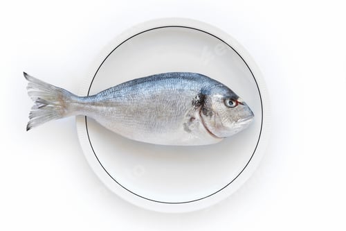 Preview: Gilthead fish over a white dish. Healthy and fresh cuisine