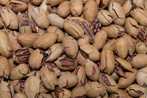 Preview: Pecan nuts background. Whole pecan with shells