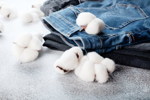 Preview: Stack of jeans pants and cotton flowers on light background