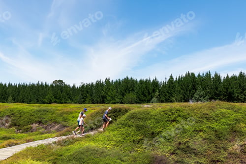 Preview: Family walking in nature in New Zealand