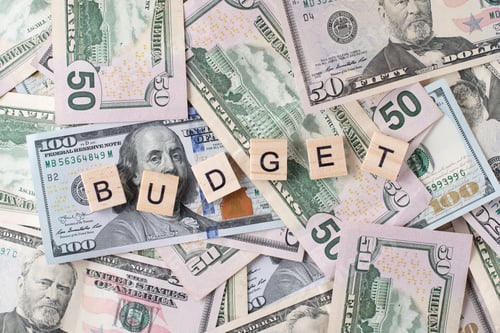 Preview: Dollar bills background and a word budget. Finance and invesment concept