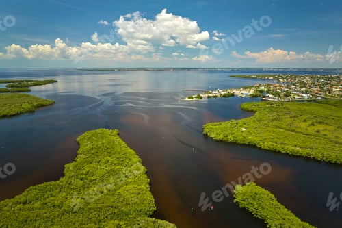 Preview: Aerial view of Florida wetlands with green vegetation between ocean water inlets