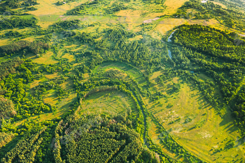 Preview: Aerial View Green Forest Deforestation Area Landscape. Top View Of New Growing Forest. European