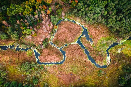Preview: Swamps and river in autumn, aerial view of Poland
