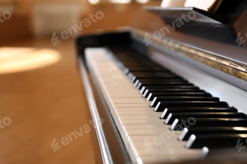 Preview: Black and white piano keys indoors, closeup