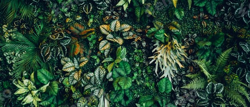 Preview: Close up group of background tropical green leaves texture and abstract background.