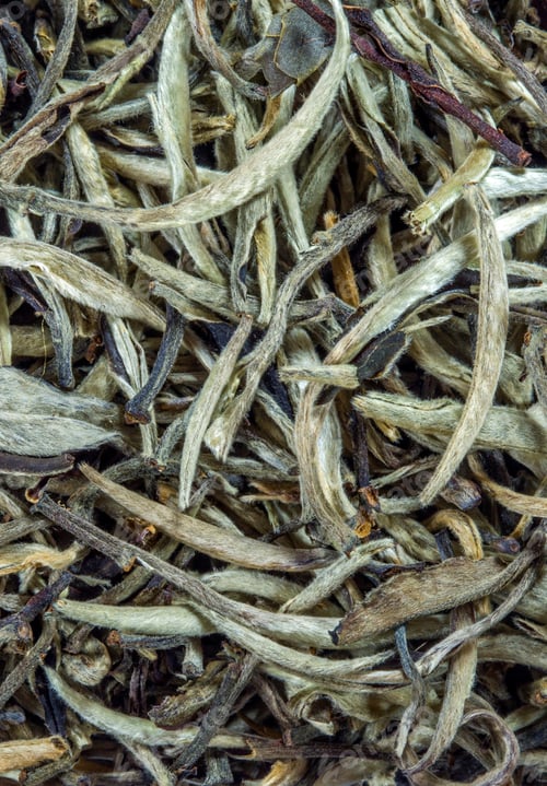 Preview: White tea