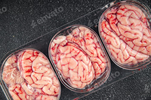 Preview: pork brains raw edible offal meat fresh food tasty fresh healthy eating cooking appetizer meal food