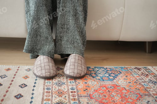Preview: Cozy indoor setting with patterned slippers on a colorful rug