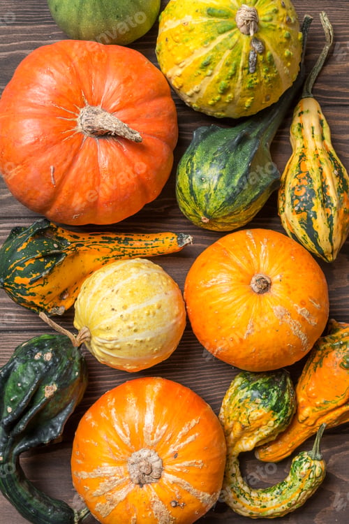 Preview: Autumn frame from decorative Pumpkins