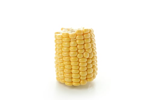 Preview: Fresh raw corn isolated on white background