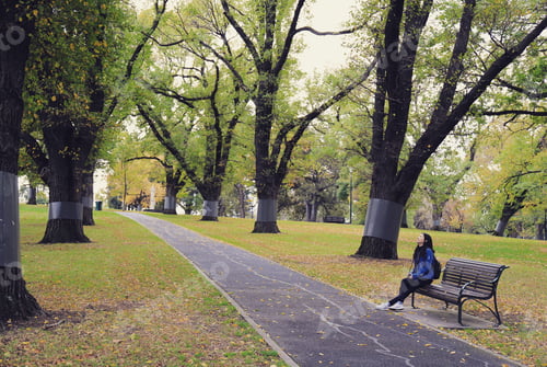 Preview: Woman feel peaceful in this garden during autumn