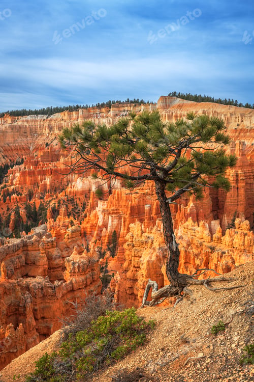 Preview: Bryce Canyon, Utah, USA