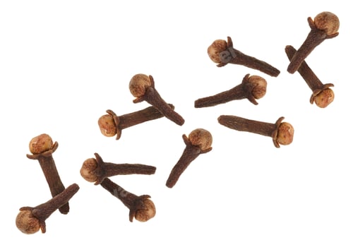 Preview: Clove buds in air on white background. Aromatic spice