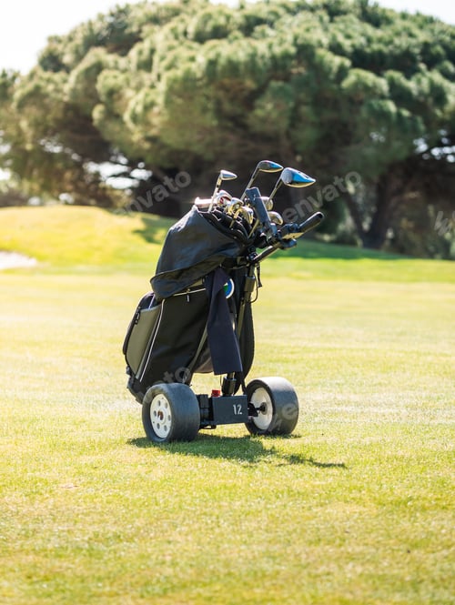 Preview: Vertical shot of a golf bag trolley on a professional golf course