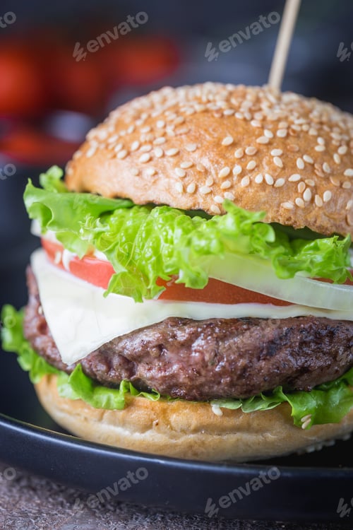 Preview: Hamburger with beef meat