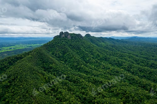 Preview: Aerial top view forest tree, Rainforest ecosystem and healthy environment concept