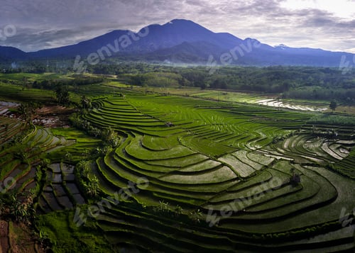 Preview: View of Indonesia in the morning, green rice fields, sun rising brightly over the mountain