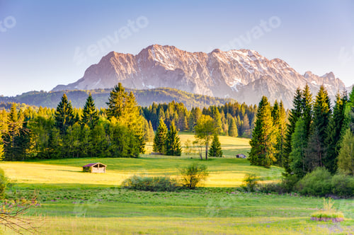 Preview: Pasture at the Karwendel mountains