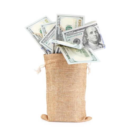 Preview: Money bag with dollar banknotes isolated on white