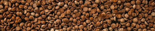 Preview: Chocolate Drops (Black Or Milk Chocolate, Sweet Ingredient) Menu Concept. Food Background. Copy