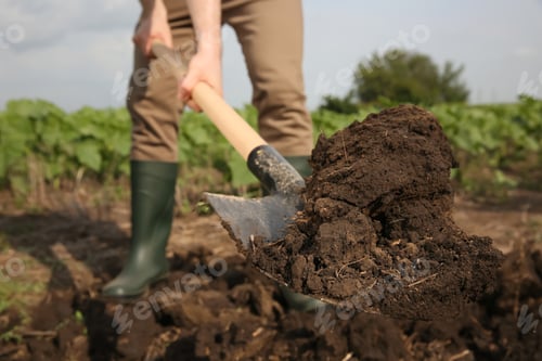 Preview: Worker digging soil with shovel outdoors, closeup