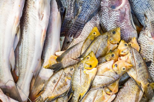 Preview: Lots of fresh fish at the traditional market