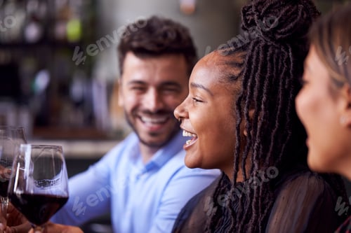Preview: Group Of Friends Meeting In Restaurant Celebrating And Making A Toast