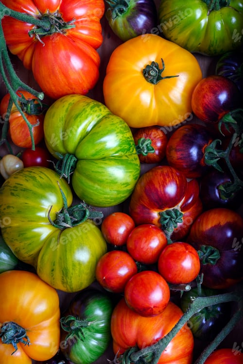 Preview: Top view on ripe tomatoes different kind and colors close up