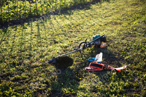 Preview: grass trimmer on freshly cut grass