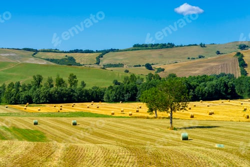 Preview: Rural landscape along the Cassia near Acquapendente, Lazio